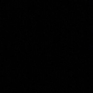 Meet your Posher, Gianna